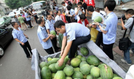 莱芜区吃瓜最新事件爆料,揭秘背后惊人真相